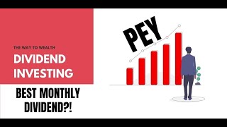 PEY MONTHLY DIVIDEND STOCK ETF INCOME FUND TO INVEST INTO [upl. by Dyana]