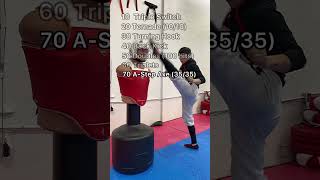 Taekwondo Kicking Workout  Martial Arts Karate Kickboxing [upl. by Aleina331]