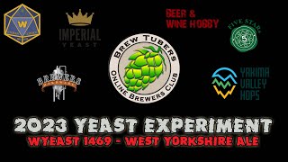 2023 Brewtubers Yeast Experiment  Wyeast 1469 West Yorkshire Ale [upl. by Ailegnave]