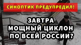 ПОГОДА ЗАВТРА 4 ДЕКАБРЯ В РОССИИ  Погода на завтра Россия [upl. by Joris542]