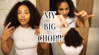 My Big Chop  Transitioning Hair 25 Months Post Relaxer [upl. by Cozza]