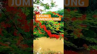 Lesung jumengglung lesungjumengglung krisnariswanto [upl. by Halyk]