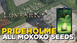 Lost Ark All Prideholme Mokoko Seed Locations [upl. by Radborne987]