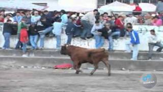 toros de mi pueblo vol 9 9 HD [upl. by Novrej]