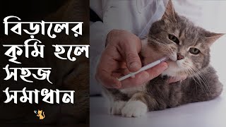 বিড়ালের কৃমি দূর করার উপায়  Cat Worms  deworming  Pet House BD [upl. by Nadeen]