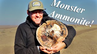 We Found a GIANT AMMONITE Ammonites Ammolite amp More  Fossil Hunt and Prep [upl. by Ymia573]