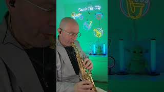 Everlasting  Kenny G Trevor James Soprano Sax And Theo Wanne Durga V Mouthpiece [upl. by Immac]