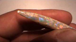 OPALIZED BELEMNITE FLASHFIREOPALS [upl. by Lashonde]