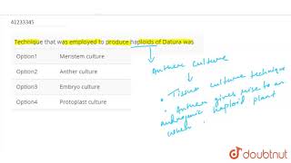 Technique that was employed to produce haploids of Datura was  12  STRATEGIES FOR ENHANCEMENT [upl. by Dirrej]