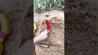 🔍 Metal Detector Finds Hidden Gem – Watch This Incredible Discovery [upl. by Born]