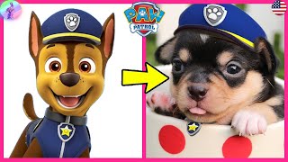 Paw Patrol Characters In Real Life  👉Nick Jr HD [upl. by Inotna71]