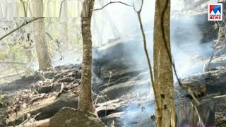 Kerala bans trekking in forests after Theni wildfire tragedy [upl. by Leinahtam]