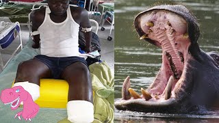 7 Deadliest Hippo Attacks on People in Africa [upl. by Esiahc61]