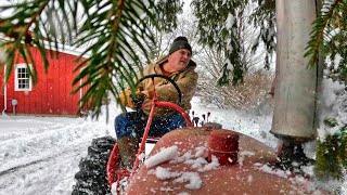 A Snowstorm on the Farm [upl. by Suzi]