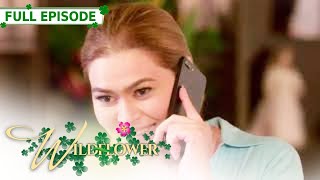 ENG SUB Ep 163  Wildflower  Maja Salvador Tirso Cruz III Aiko Melendez [upl. by Calvin]