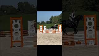 argh my beautiful pony horse showjumping equestrian [upl. by Alilad]