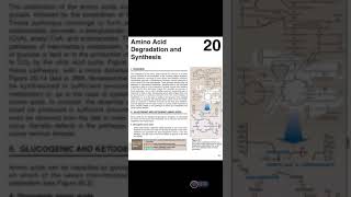 Chp20 Lippincott Part01 Degradation of Amino Acids [upl. by Harmon957]