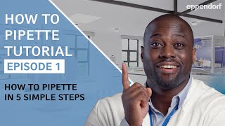 How to Pipette in 5 Simple Steps  Pipetting Tutorials  Ep 1 Micropipettes [upl. by Rolan25]