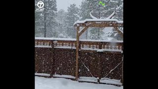 Snow falling in Ruidoso New Mexico [upl. by Saqaw966]