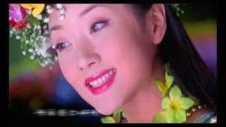 張燕 Zhang Yan  阿里山新歌 New Song About Alishan [upl. by Keith60]