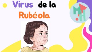 Rubéola ¡Un virus muy peligroso en el embarazo 😱 rubella exantema [upl. by Verena]