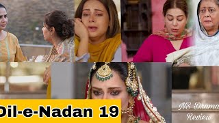 DileNadan Episode 19  Mikaal Zulfiqar  reviews 10th oct 2024NS Drama reviewsdilenadan [upl. by Svend861]