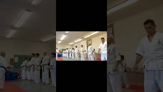 Enshin Karate SFThe beginning and end of kids amp Adults mixed Class karate dojo空手educationkids [upl. by Ahsauqram595]