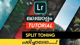 Learn Adobe Lightroom Mobile Malayalam  Understanding Split Tone  The TechTalks [upl. by Cirillo63]