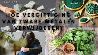 HOE VERGIFTIGING VAN ZWARE METALEN VERWIJDEREN EN JE ENERGIE ⚡ VERHOGEN  PODCAST SERIE DEEL 2 [upl. by Bose]