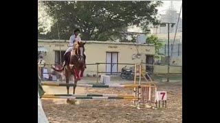 Janak Horse Riding Club Topscore Jumping 90cm [upl. by Nnylsia893]