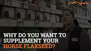 Why do you want to supplement your horse with flaxseed [upl. by Cindi]