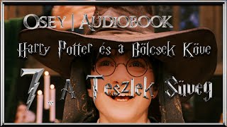 Harry Potter és a Bölcsek Köve hangoskönyv  7 fejezet [upl. by Iaj]