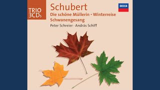 Schubert Der Wanderer an den Mond D870 Op 80 No 1 [upl. by Saisoj]