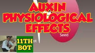 AUXIN  PHYSIOLOGICAL EFFECTS  PLANT PHYSIOLOGY  STD 11  SCERT [upl. by Zackariah486]