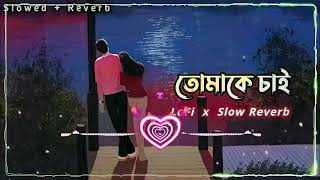 তোমাক চাই।। Tomake chai।। Slow Reverb lofi Bengali song [upl. by Nosmoht93]