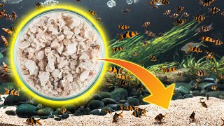 How to Safely Raise Aquarium pH with Crushed Coral​ [upl. by Zaid185]