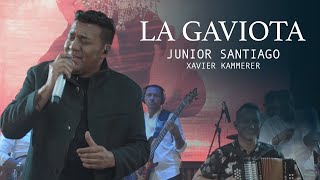 LA GAVIOTA  JUNIOR SANTIAGO XAVIER KAMMERER  Live Sessions [upl. by Attennaj]