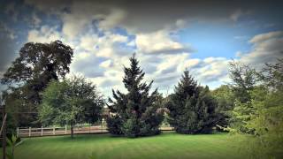 Canon SX50 HS Time Lapse [upl. by Khano]