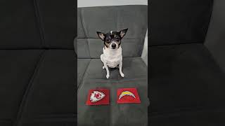 Chiefs vs Chargers nfl nflpredictions nflfootball week4 kansascitychiefs losangeleschargers [upl. by Ahtiek]