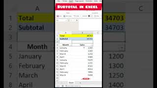 Subtotal in excel newexcel excel subtotal [upl. by Suirauqed]