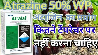 atrazine 50 WP ॥ atrazine  atrataf herbicide  atrazine 50 wp herbicide [upl. by Nalyorf]