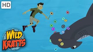 Wild Kratts  Kratts Find A Hammerhead SHARKS [upl. by Akcinahs746]