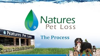 Natures Pet Loss  The Aquamation Process [upl. by Aiuqes]