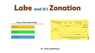 14 Lake and its Zonation Lake Zonation Zones of a Lake [upl. by Yakcm]