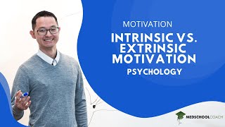 Intrinsic vs Extrinsic Motivation [upl. by Elagiba24]