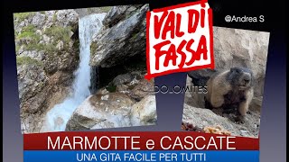 CANAZEI CASCATE E MARMOTTE [upl. by Cirre]