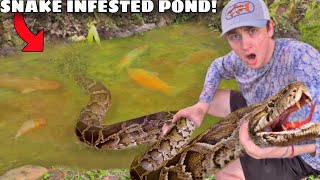 I Found a Pond INFESTED with Deadly Snakes [upl. by Okwu375]