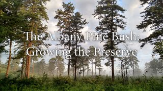 The Albany Pine Bush Growing the Preserve [upl. by Oetsira]