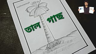 Tal Gas Drawing  Palm Tree Drawing  Easy Drawing Bangla Tutorial [upl. by Gardy550]