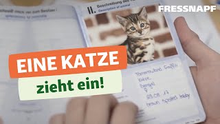 Katzeneingewöhnung Eine Katze zieht ein  Planung Gesundheit und Ausrüstung [upl. by Anelim349]